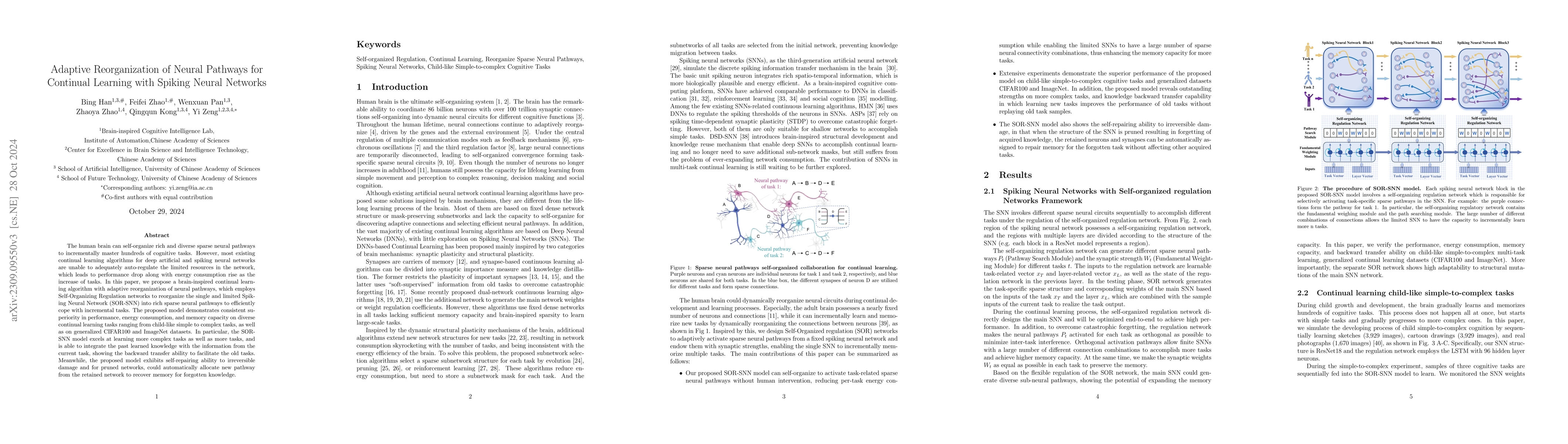 Thumbnail for Adaptive Reorganization of Neural Pathways for Continual Learning with
  Spiking Neural Networks