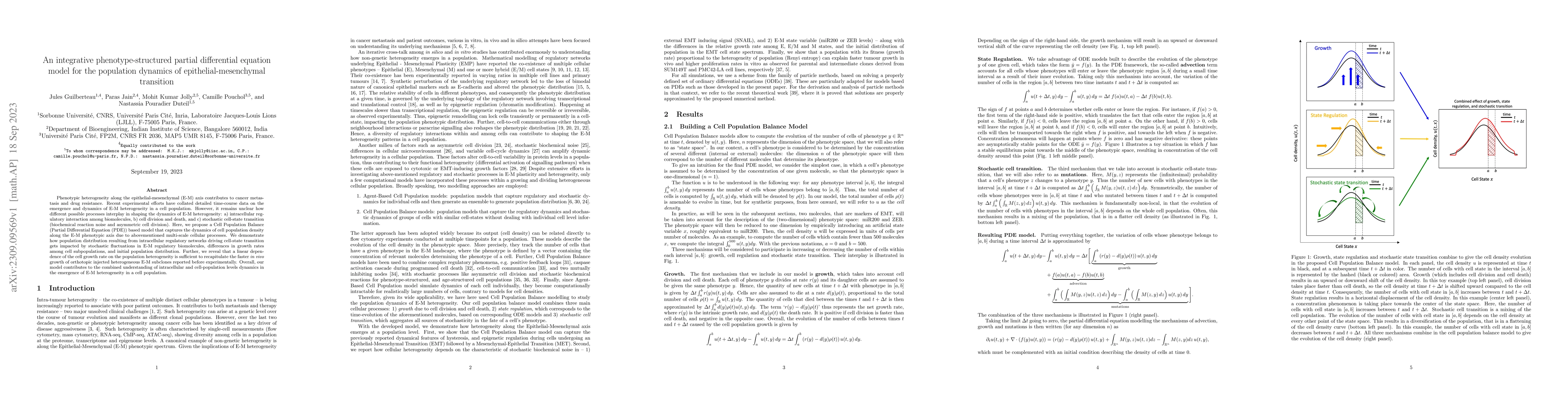 Thumbnail for An integrative phenotype-structured partial differential equation model
  for the population dynamics of epithelial-mesenchymal transition
