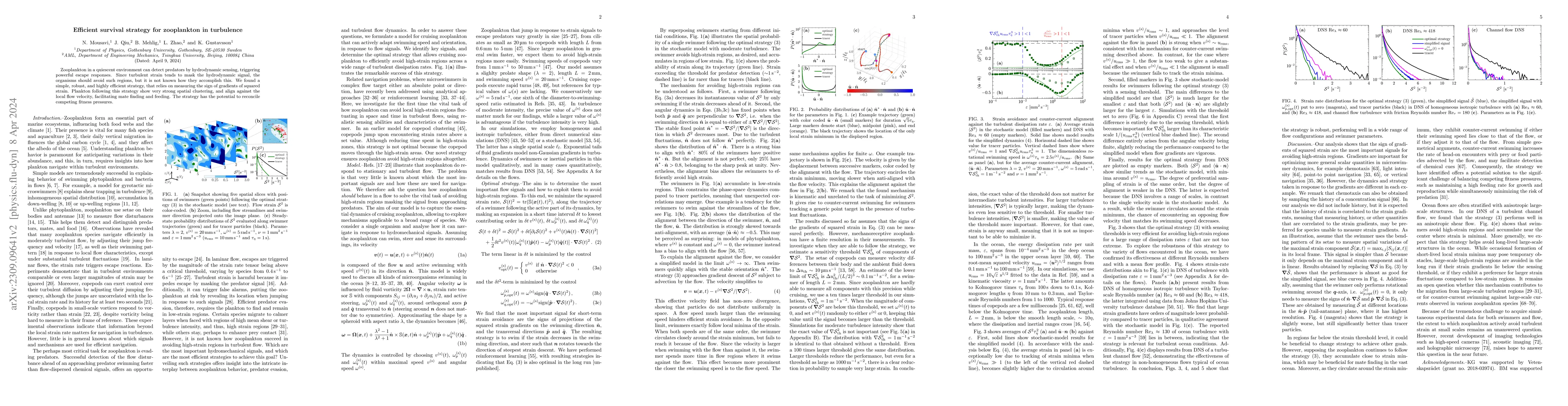 Thumbnail for Efficient survival strategy for zooplankton in turbulence