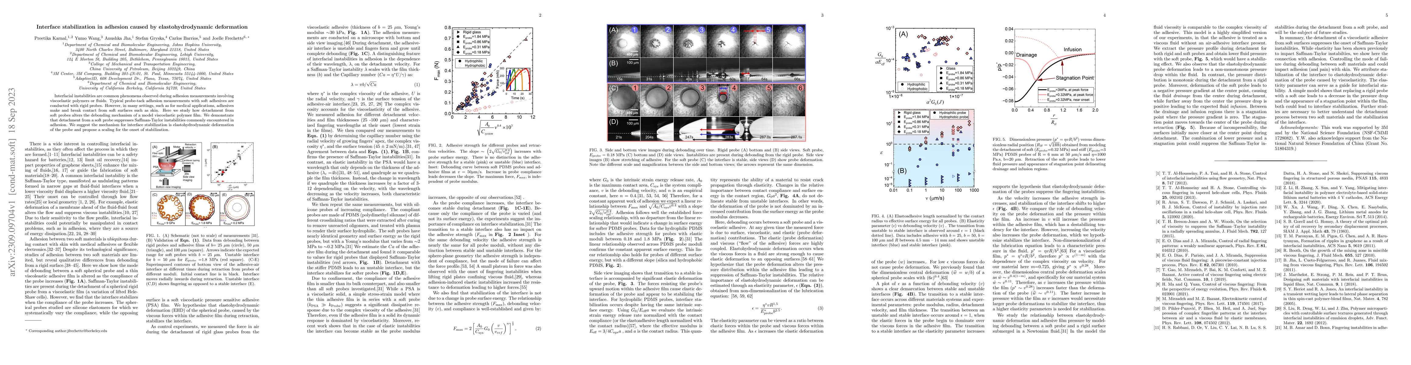 Thumbnail for Interface stabilization in adhesion caused by elastohydrodynamic
  deformation