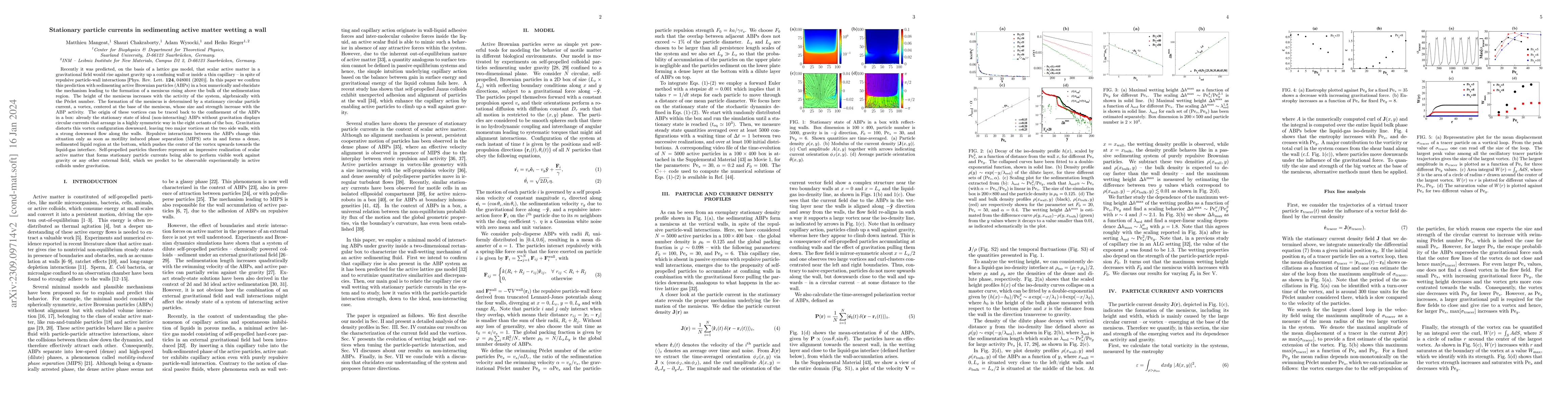 Thumbnail for Stationary particle currents in sedimenting active matter wetting a wall