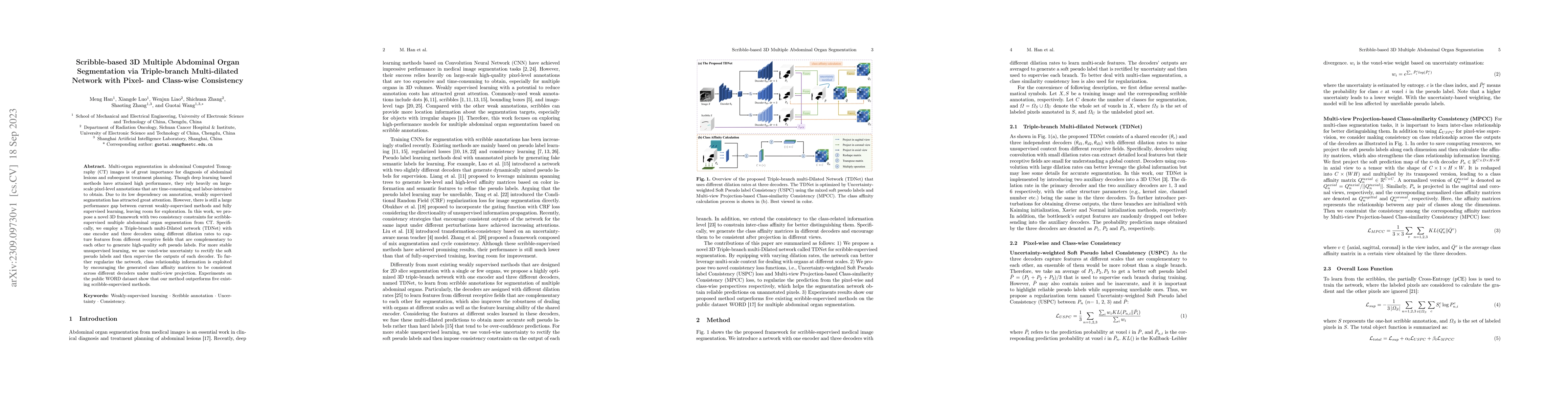 Thumbnail for Scribble-based 3D Multiple Abdominal Organ Segmentation via
  Triple-branch Multi-dilated Network with Pixel- and Class-wise Consistency