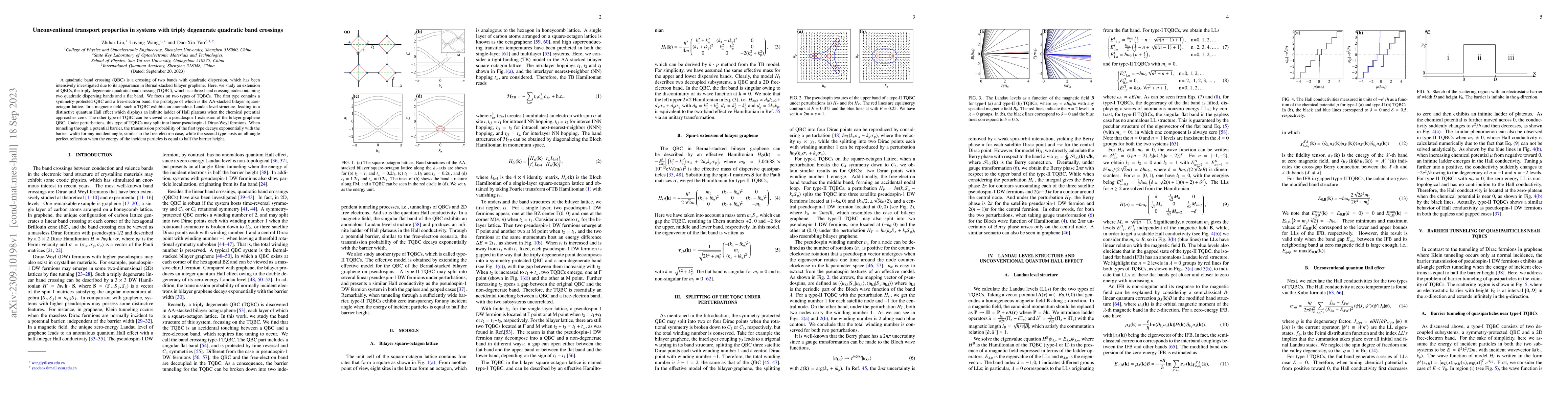 Thumbnail for Unconventional transport properties in systems with triply degenerate
  quadratic band crossings