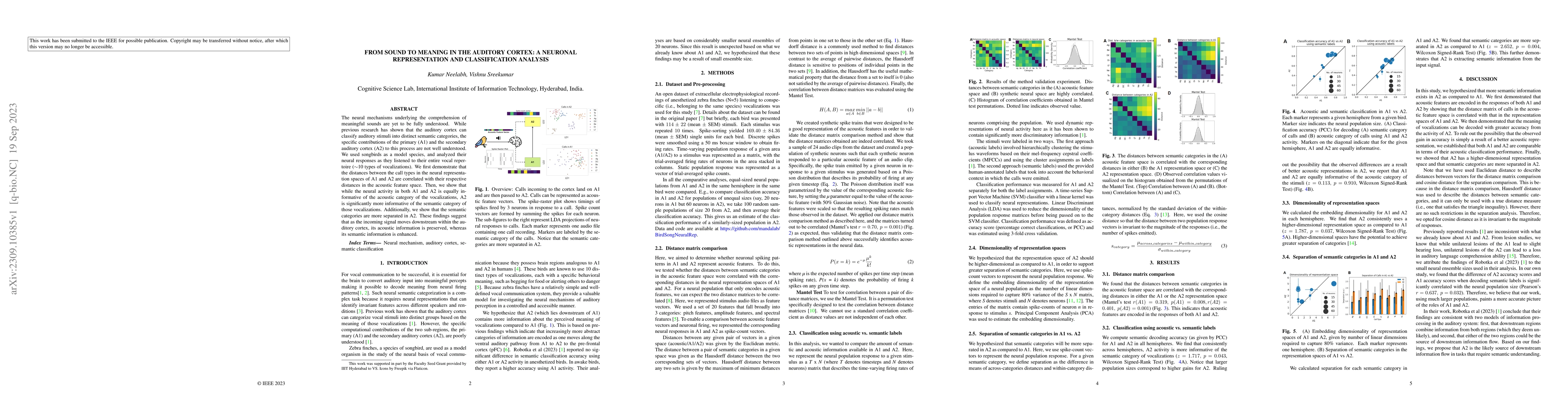 Thumbnail for From sound to meaning in the auditory cortex: A neuronal representation
  and classification analysis