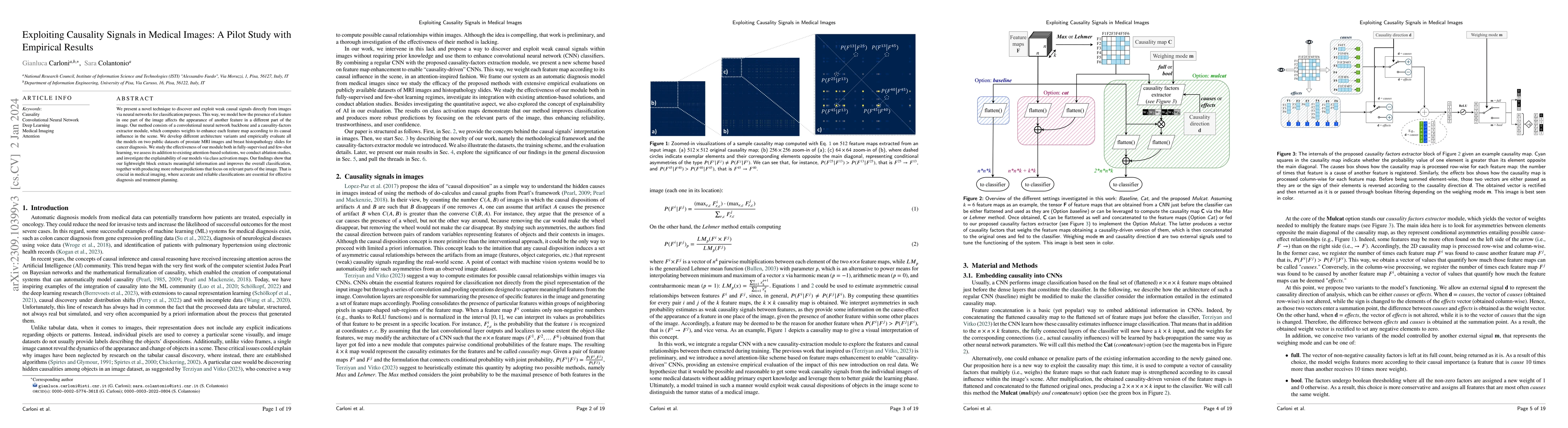 Thumbnail for Exploiting Causality Signals in Medical Images: A Pilot Study with
  Empirical Results