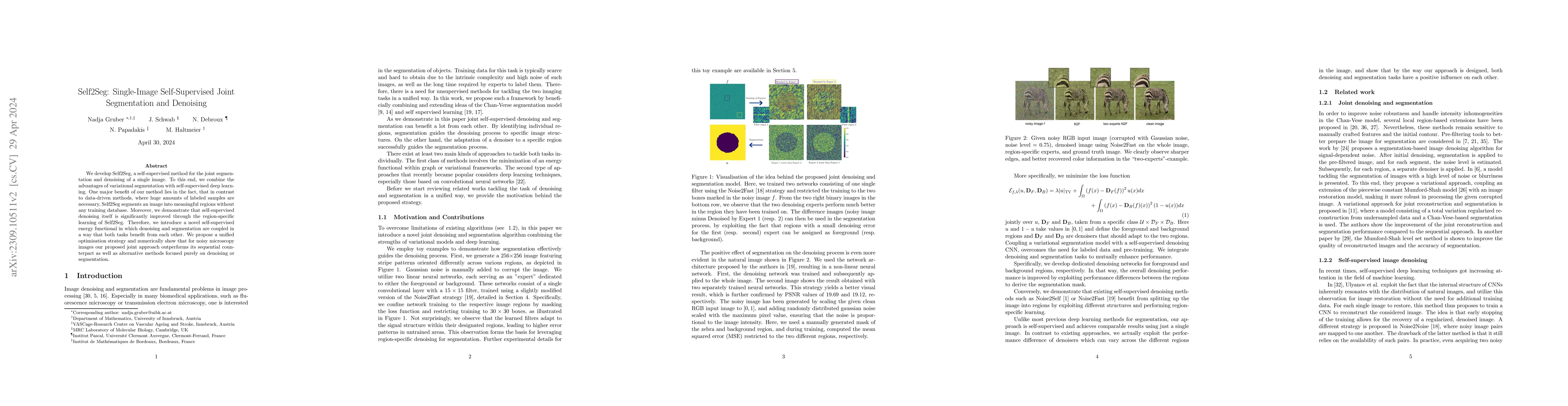 Thumbnail for Self2Seg: Single-Image Self-Supervised Joint Segmentation and Denoising