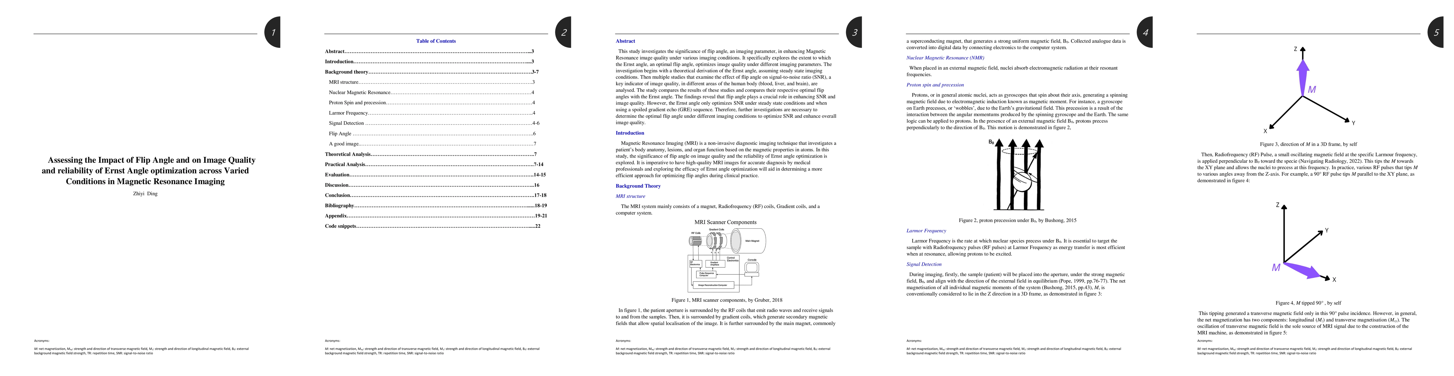 Thumbnail for Assessing the Impact of Flip Angle and on Image Quality and reliability
  of Ernst Angle optimization across Varied Conditions in Magnetic Resonance
  Imaging