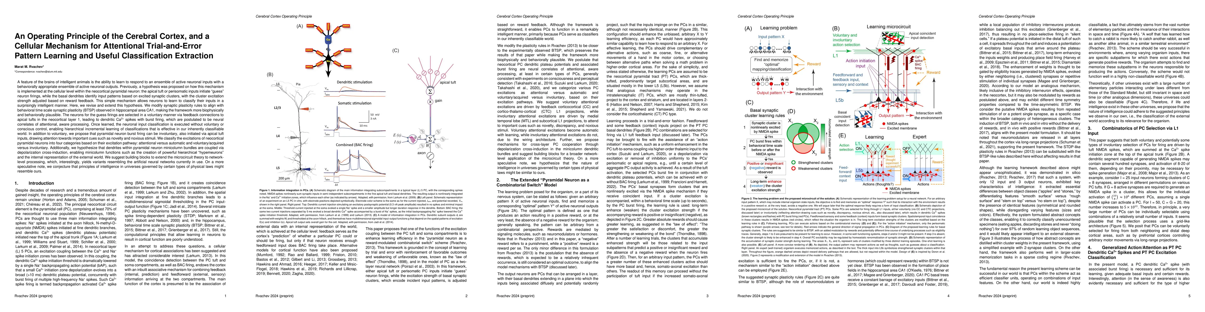 Thumbnail for An Operating Principle of the Cerebral Cortex, and a Cellular Mechanism
  for Attentional Trial-and-Error Pattern Learning and Useful Classification
  Extraction