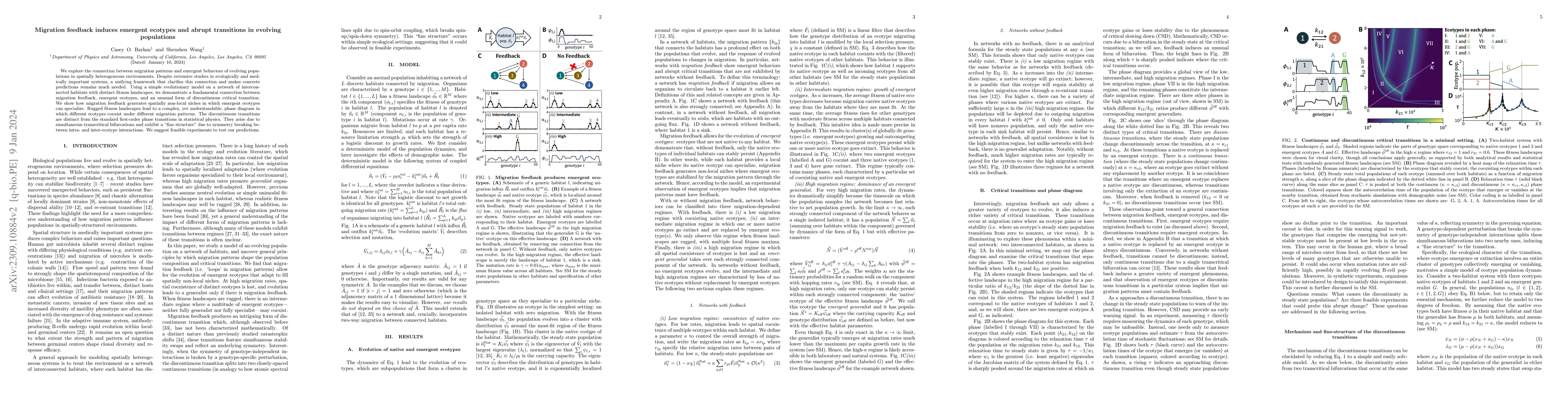 Thumbnail for Migration feedback induces emergent ecotypes and abrupt transitions in
  evolving populations