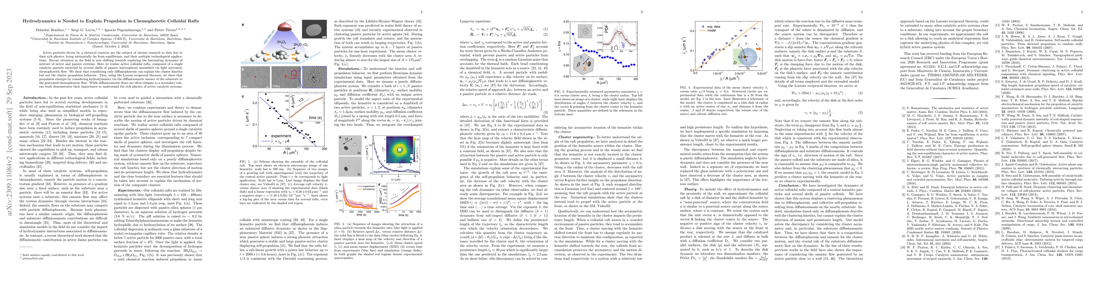 Thumbnail for Hydrodynamics is Needed to Explain Propulsion in Chemophoretic Colloidal
  Rafts