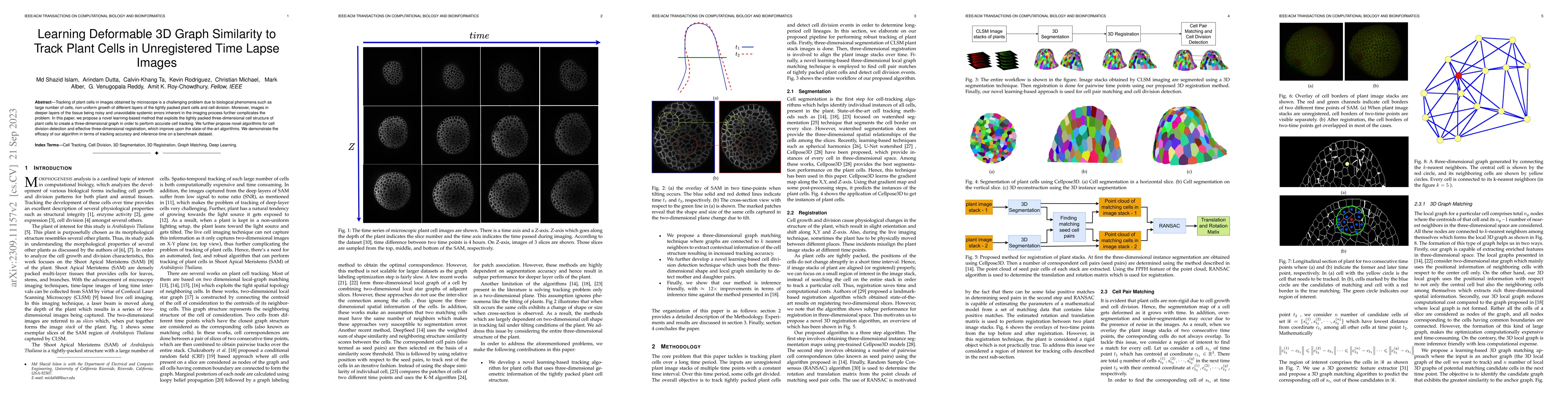 Thumbnail for Learning Deformable 3D Graph Similarity to Track Plant Cells in
  Unregistered Time Lapse Images
