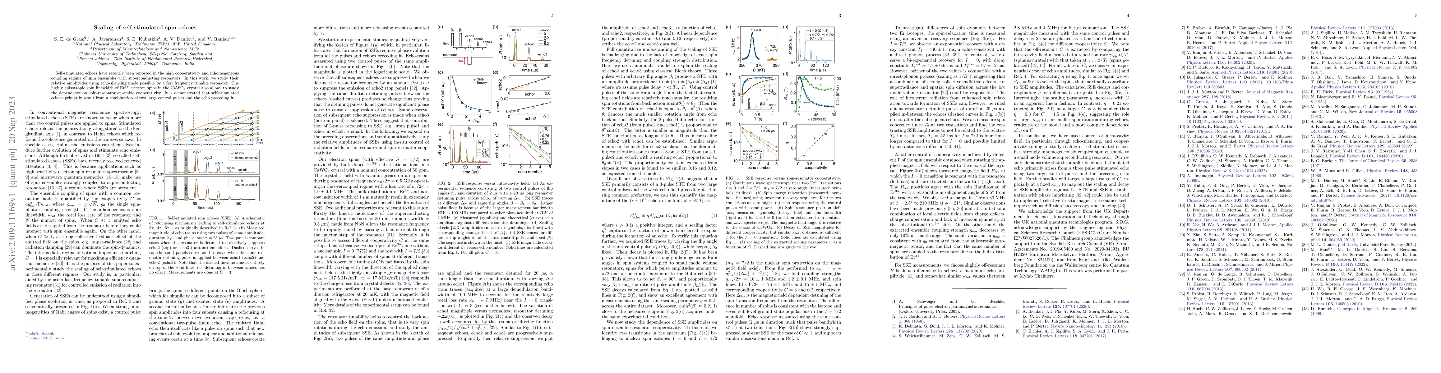 Thumbnail for Scaling of self-stimulated spin echoes