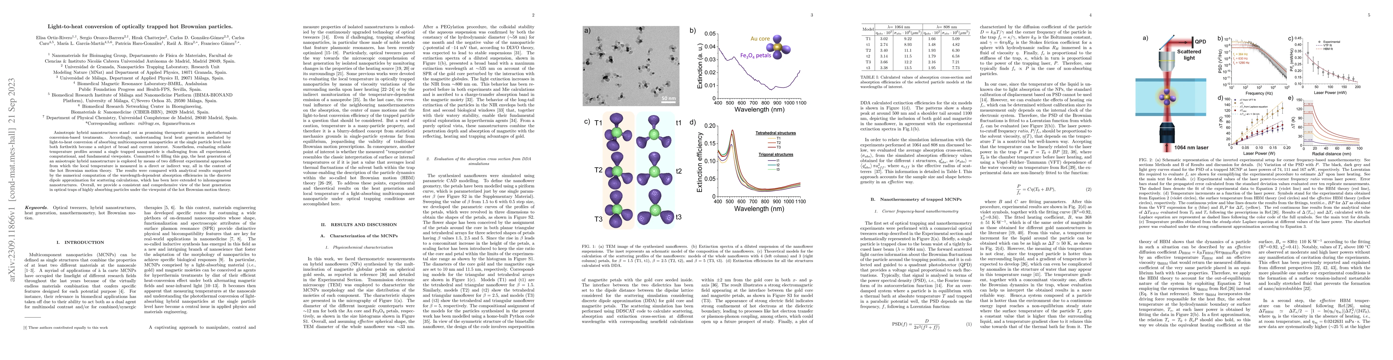 Thumbnail for Light-to-heat conversion of optically trapped hot Brownian particles