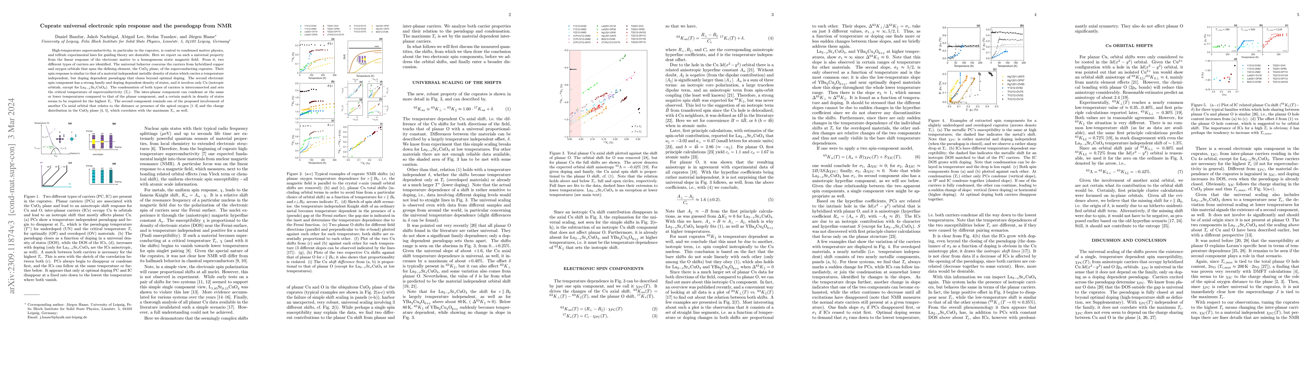 Thumbnail for Cuprate universal electronic spin response and the pseudogap from NMR