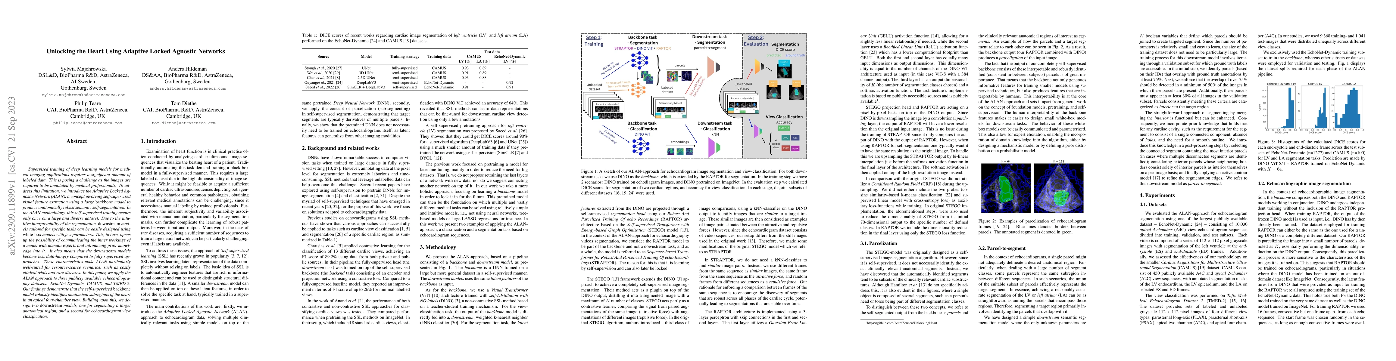 Thumbnail for Unlocking the Heart Using Adaptive Locked Agnostic Networks