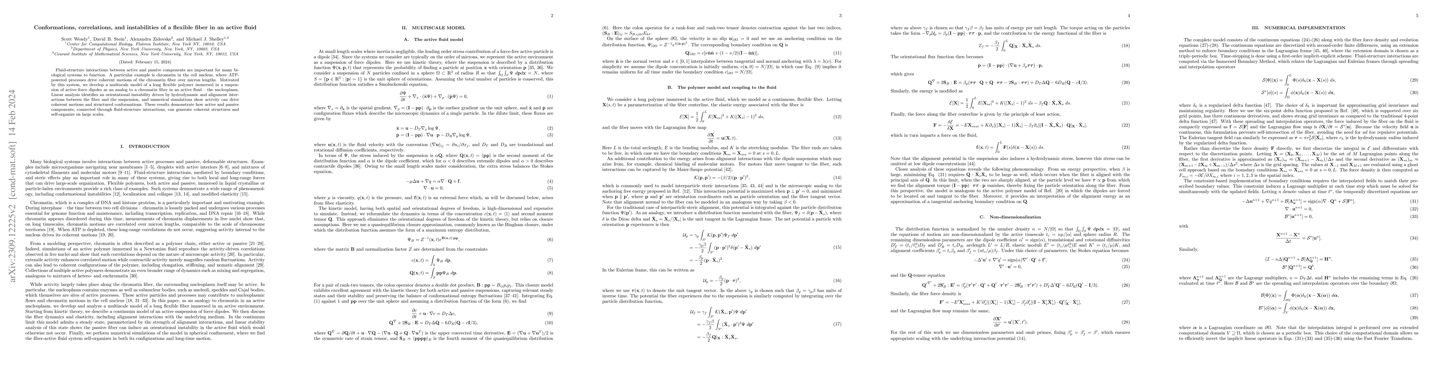 Thumbnail for Conformations, correlations, and instabilities of a flexible fiber in an
  active fluid