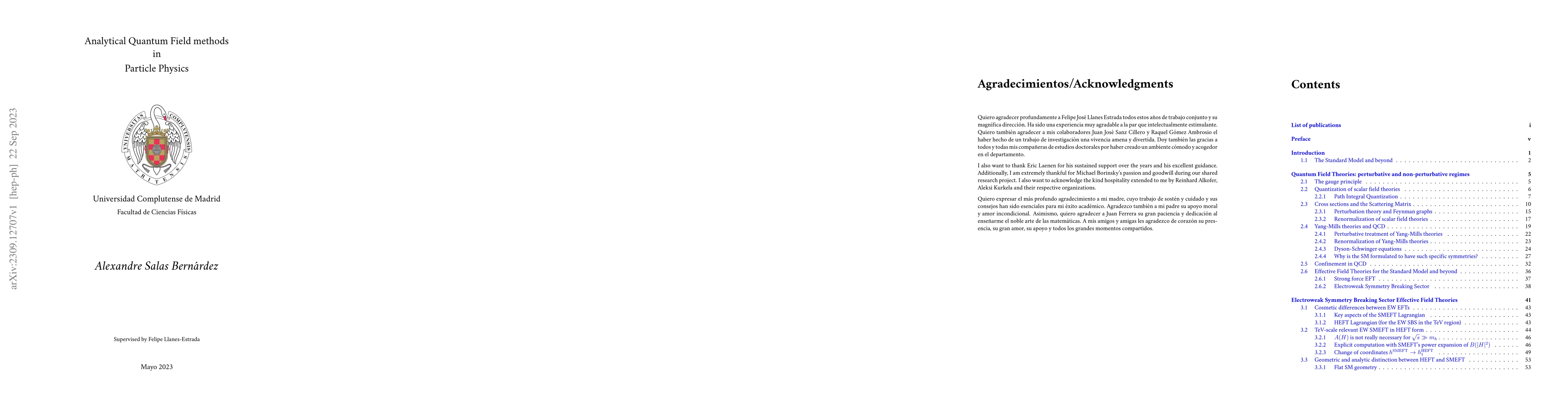 Thumbnail for Analytical Quantum Field methods in Particle Physics