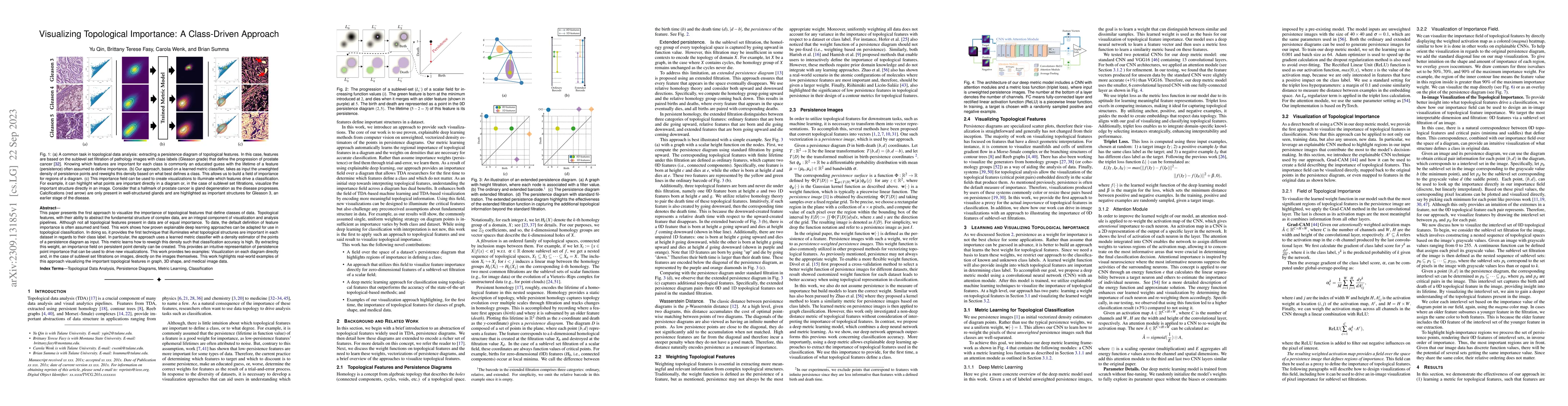 Thumbnail for Visualizing Topological Importance: A Class-Driven Approach
