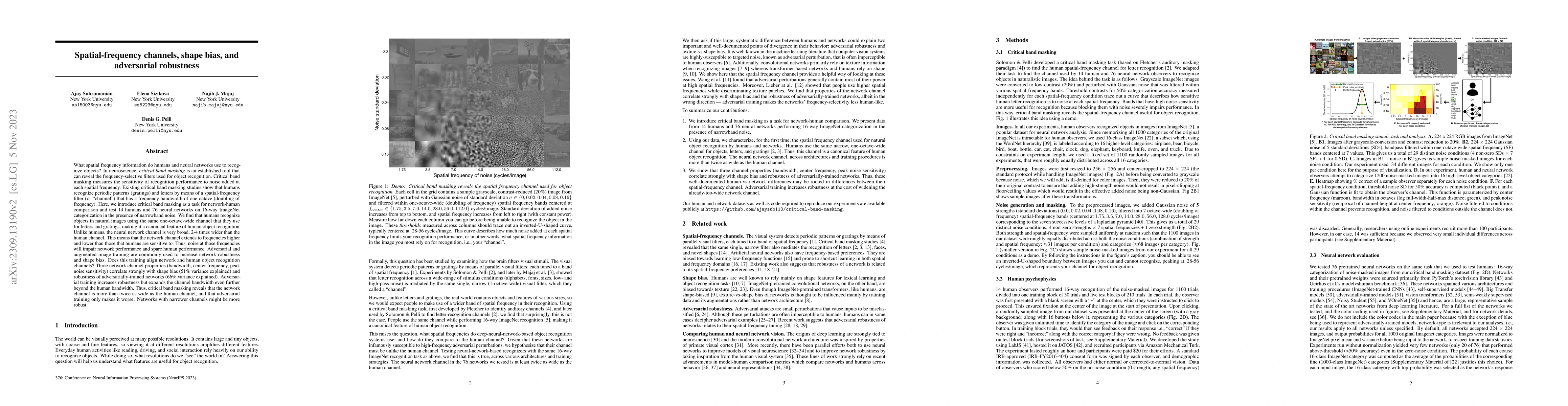 Thumbnail for Spatial-frequency channels, shape bias, and adversarial robustness