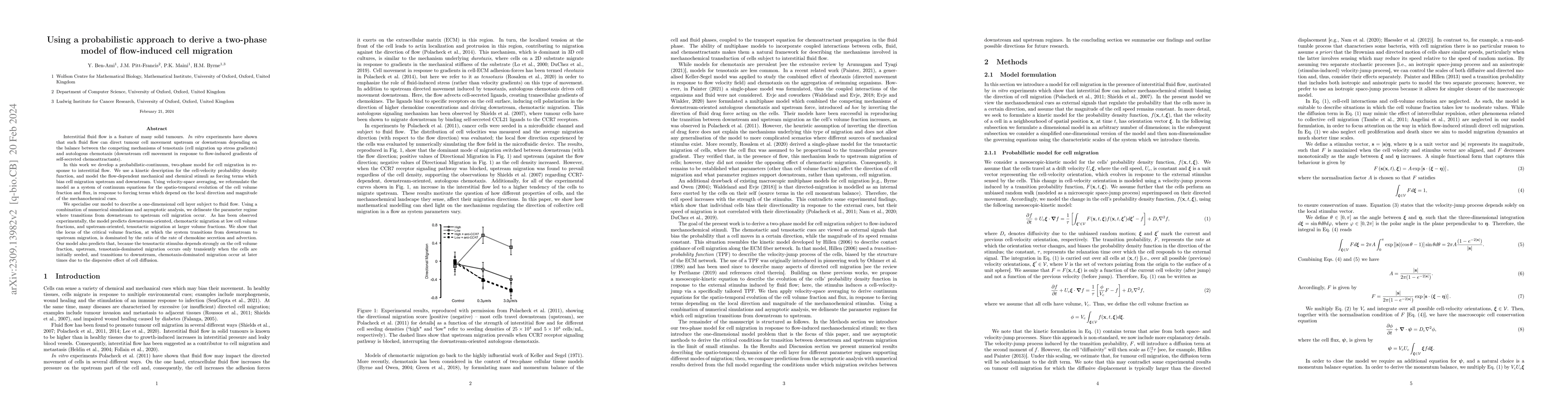 Thumbnail for Using a probabilistic approach to derive a two-phase model of
  flow-induced cell migration