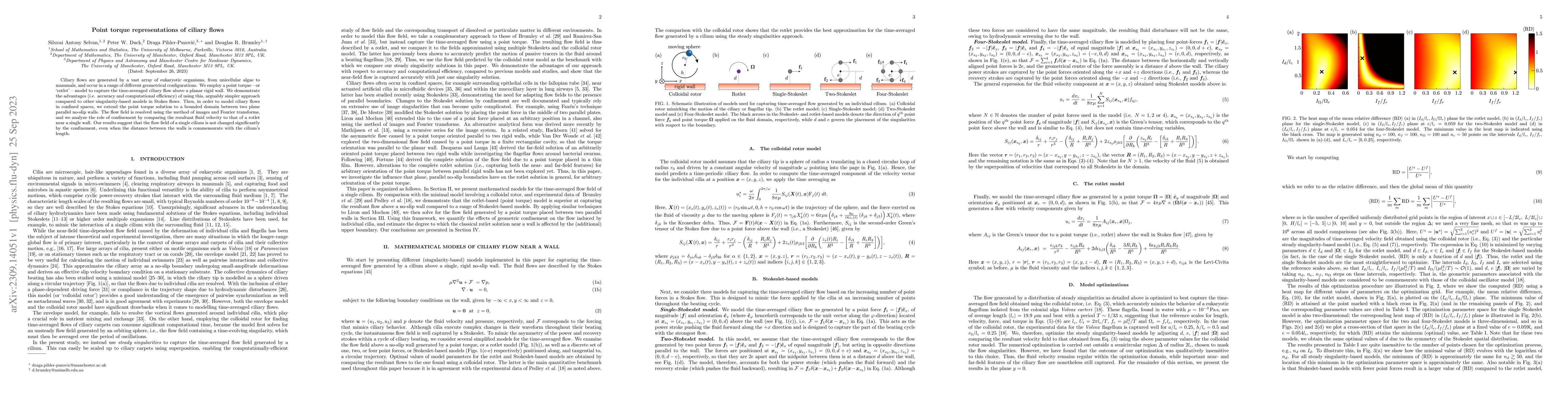 Thumbnail for Point torque representations of ciliary flows