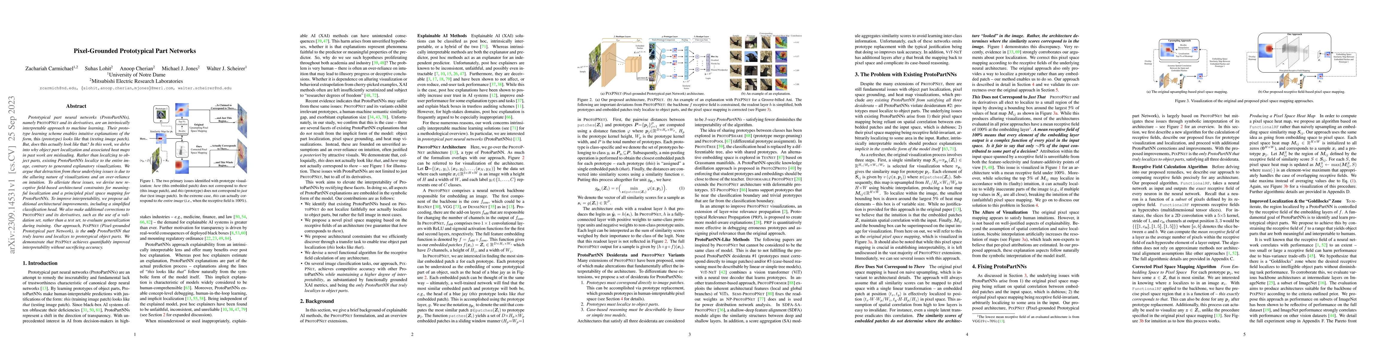 Thumbnail for Pixel-Grounded Prototypical Part Networks