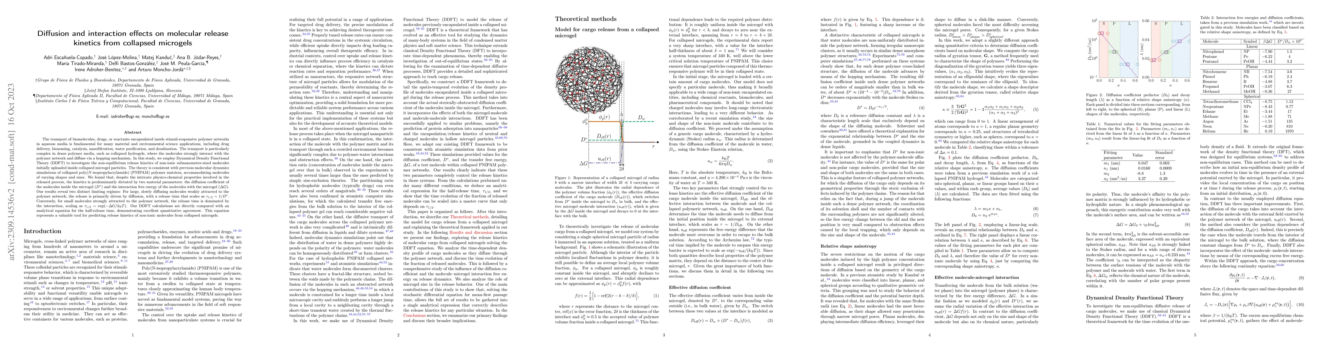 Thumbnail for Diffusion and interaction effects on molecular release from collapsed
  microgels
