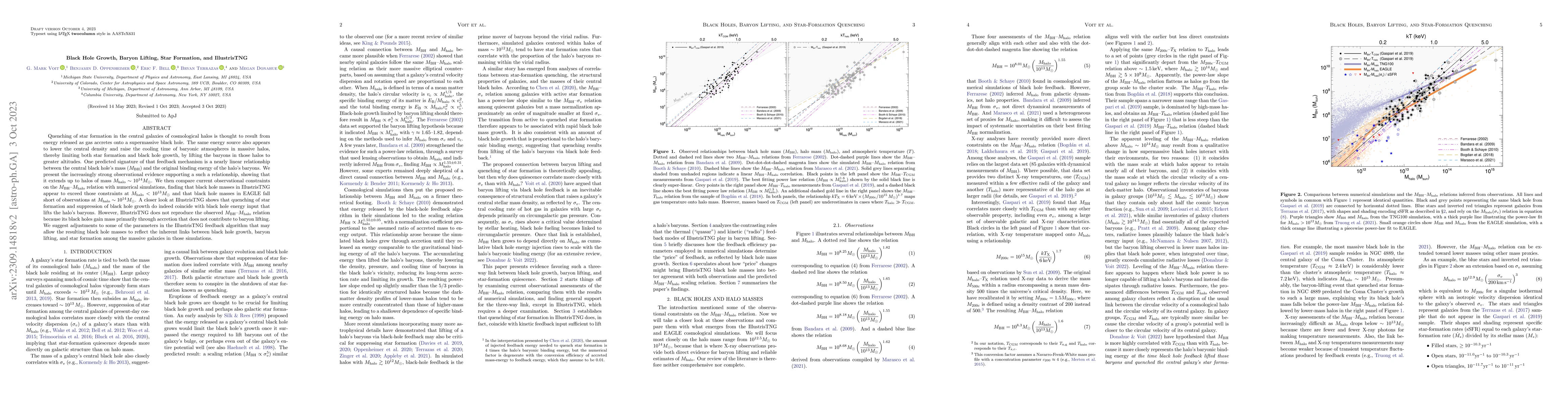 Thumbnail for Black Hole Growth, Baryon Lifting, Star Formation, and IllustrisTNG