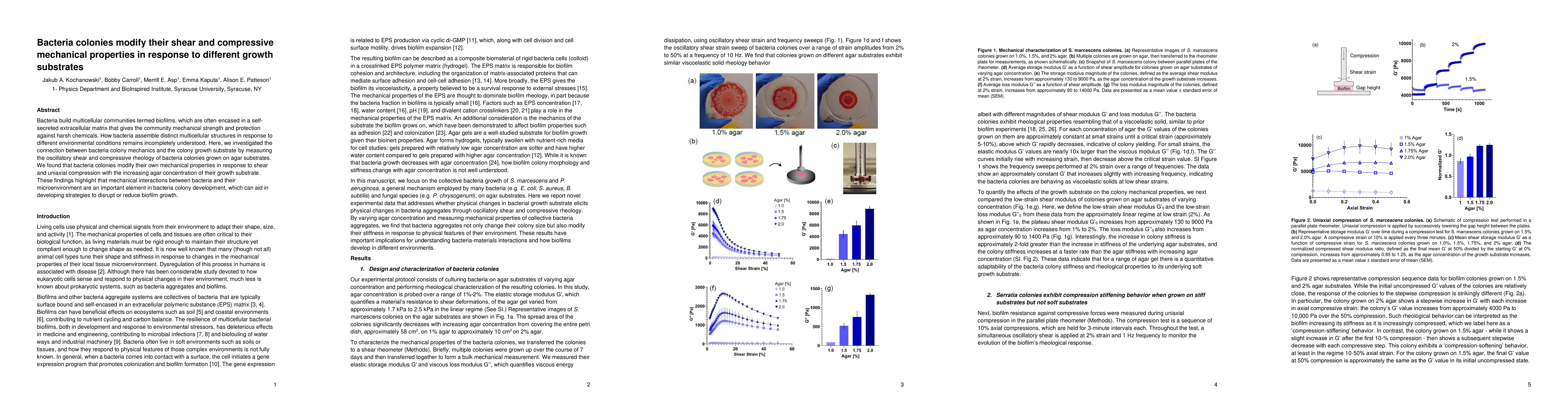 Thumbnail for Bacteria colonies modify their shear and compressive mechanical
  properties in response to different growth substrates