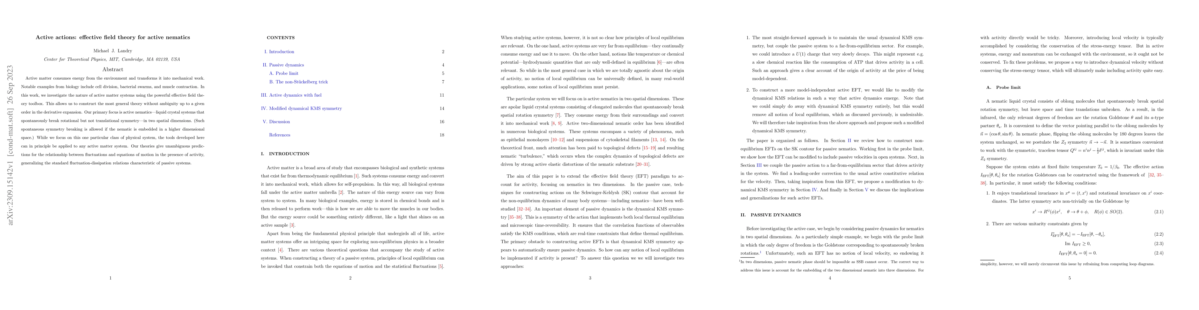 Thumbnail for Active actions: effective field theory for active nematics