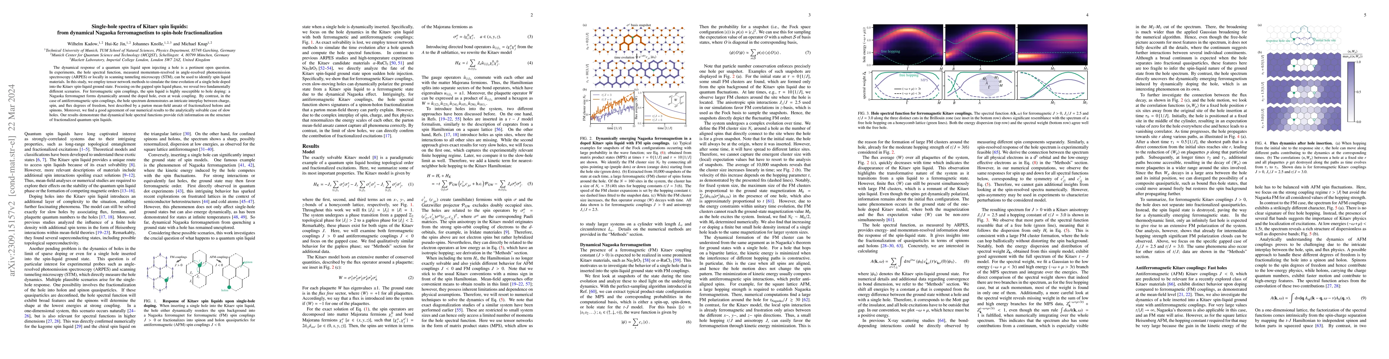 Thumbnail for Single-hole spectra of Kitaev spin liquids: from dynamical Nagaoka
  ferromagnetism to spin-hole fractionalization