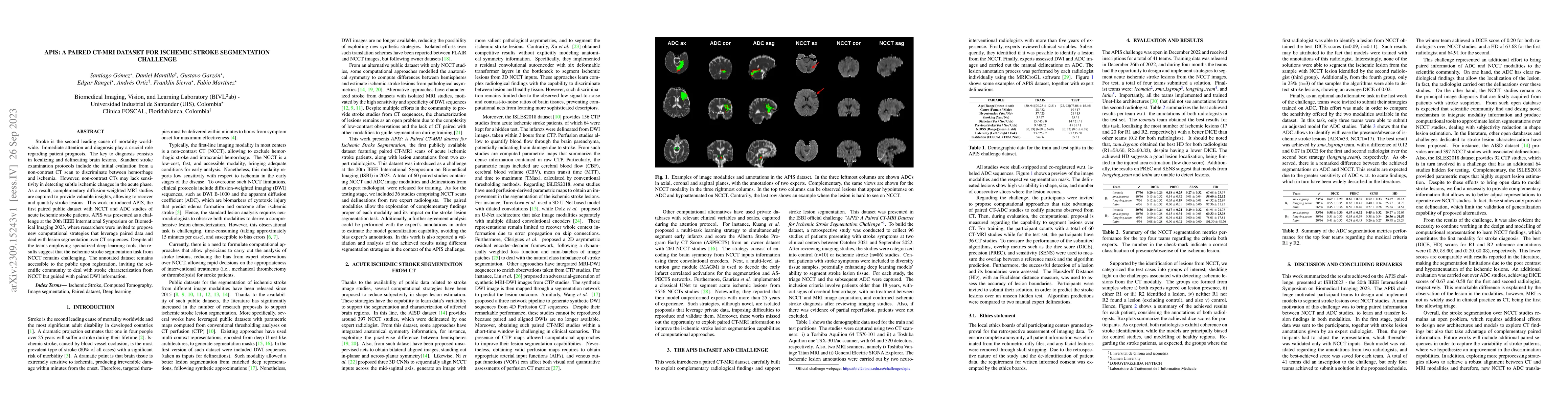 Thumbnail for APIS: A paired CT-MRI dataset for ischemic stroke segmentation challenge