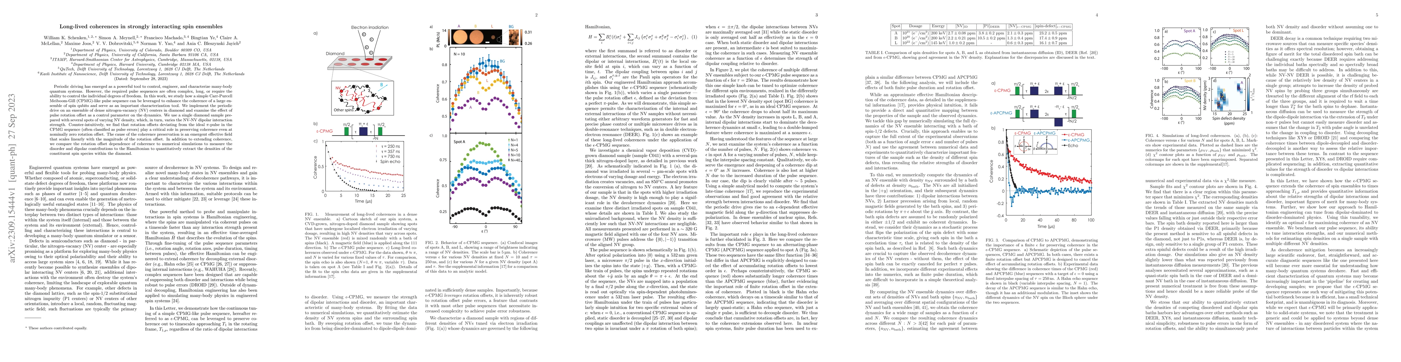 Thumbnail for Long-lived coherences in strongly interacting spin ensembles