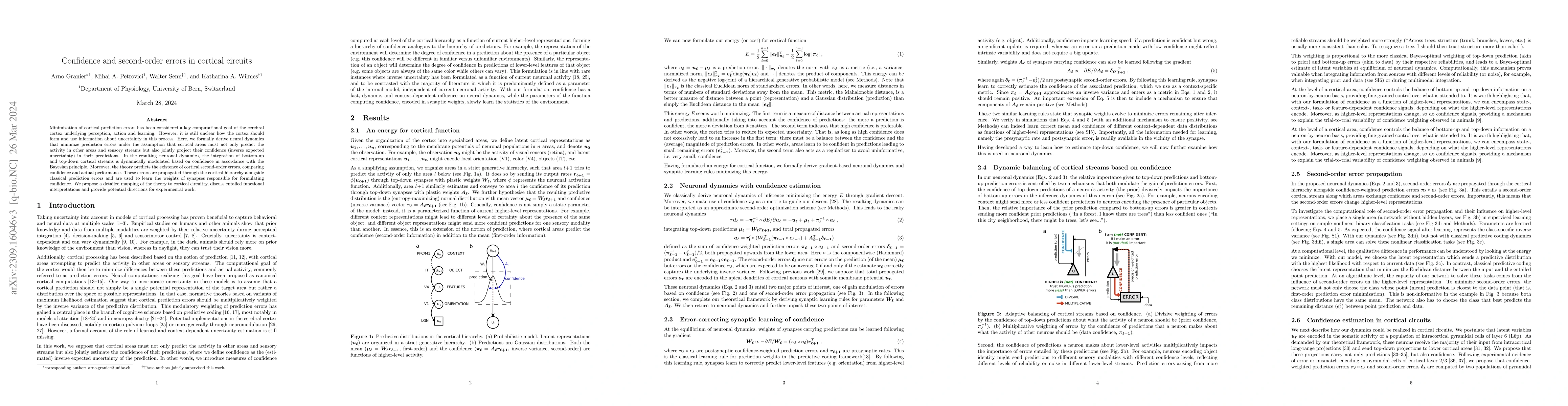 Thumbnail for Confidence and second-order errors in cortical circuits