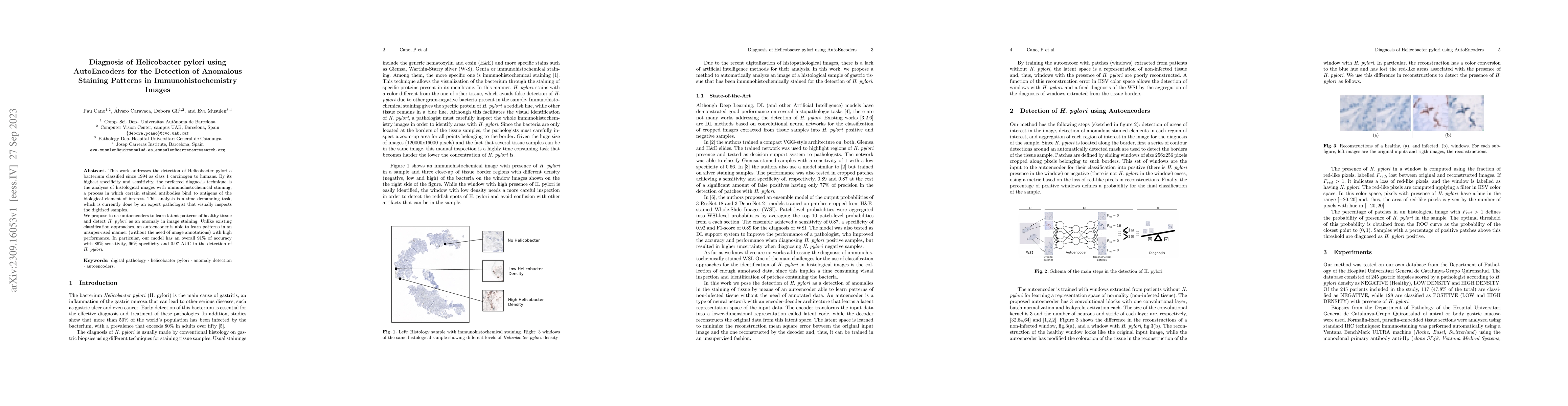 Thumbnail for Diagnosis of Helicobacter pylori using AutoEncoders for the Detection of
  Anomalous Staining Patterns in Immunohistochemistry Images