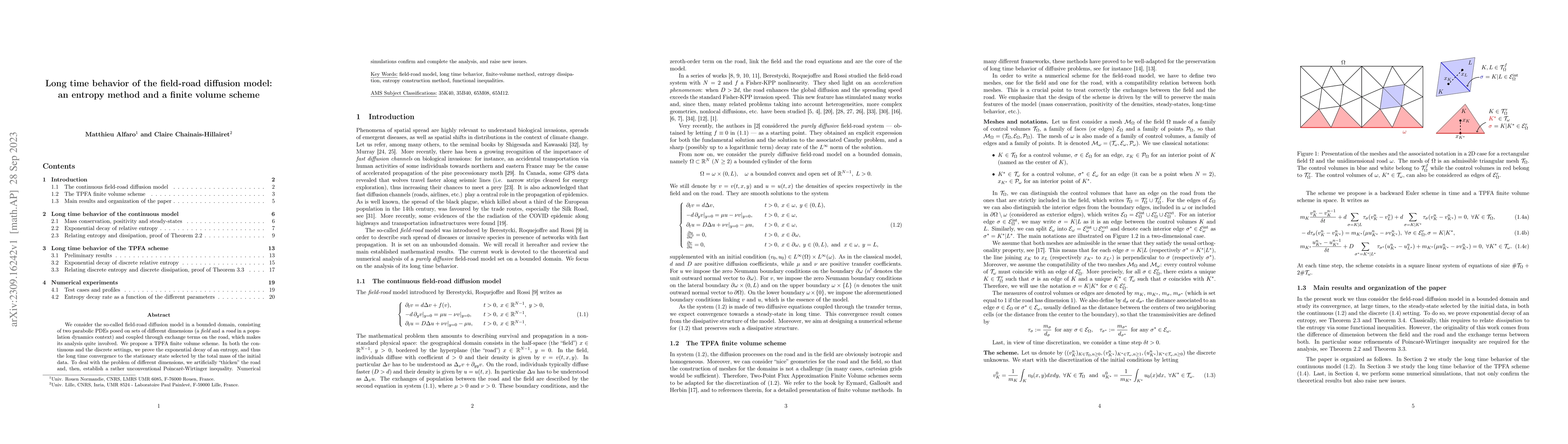 Thumbnail for Long time behavior of the field-road diffusion model: an entropy method
  and a finite volume scheme
