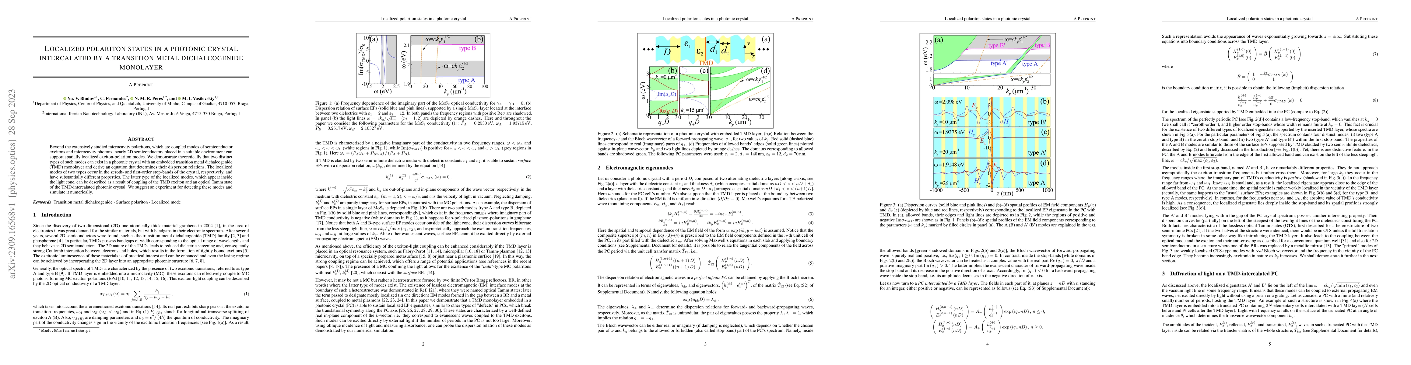 Thumbnail for Localized polariton states in a photonic crystal intercalated by a
  transition metal dichalcogenide monolayer