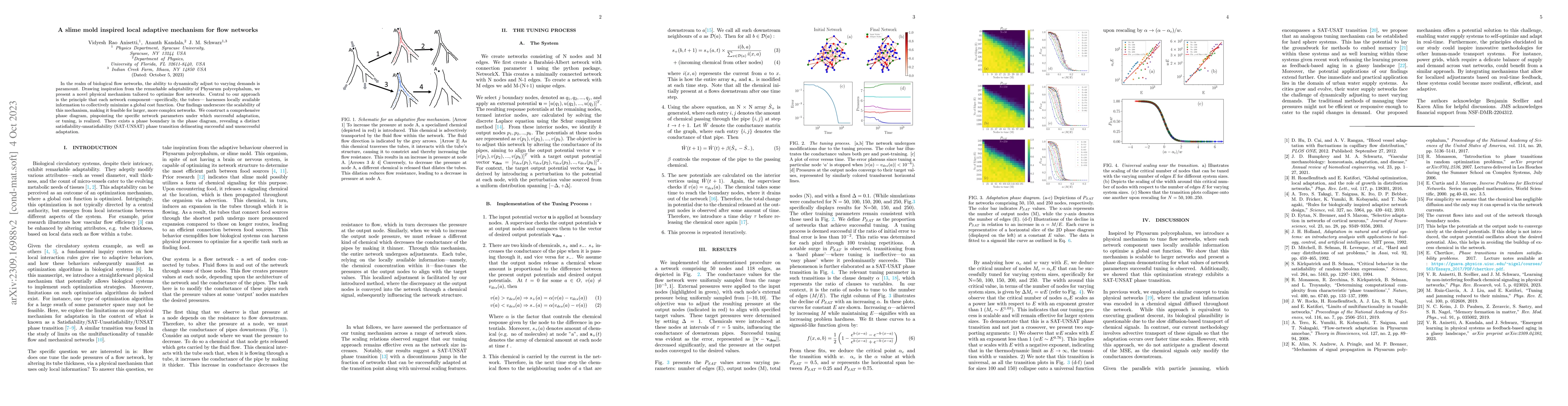 Thumbnail for A slime mold inspired local adaptive mechanism for flow networks
