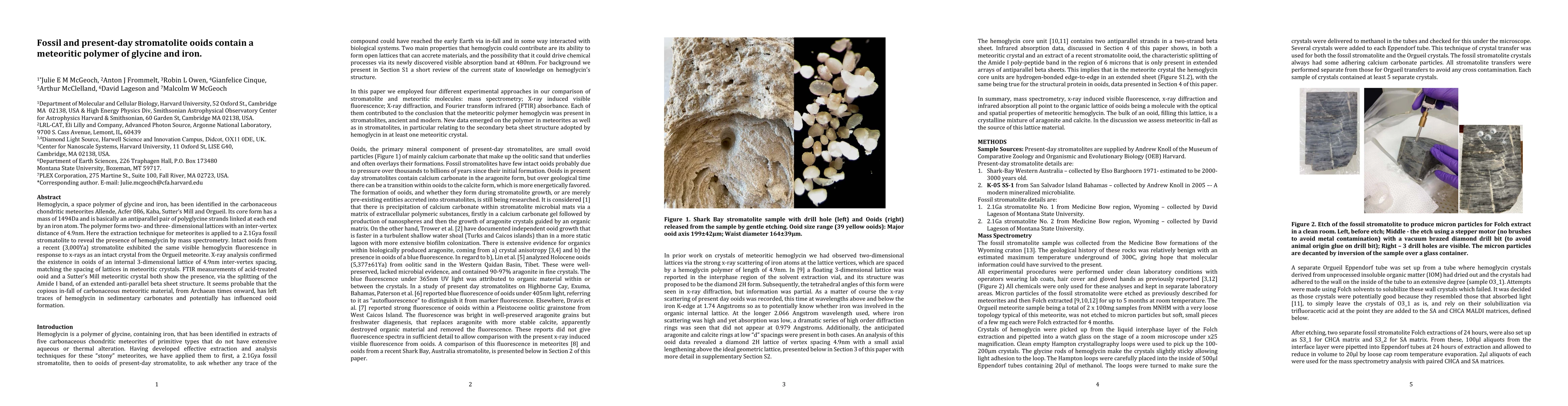 Thumbnail for Fossil and present-day stromatolite ooids contain a meteoritic polymer
  of glycine and iron