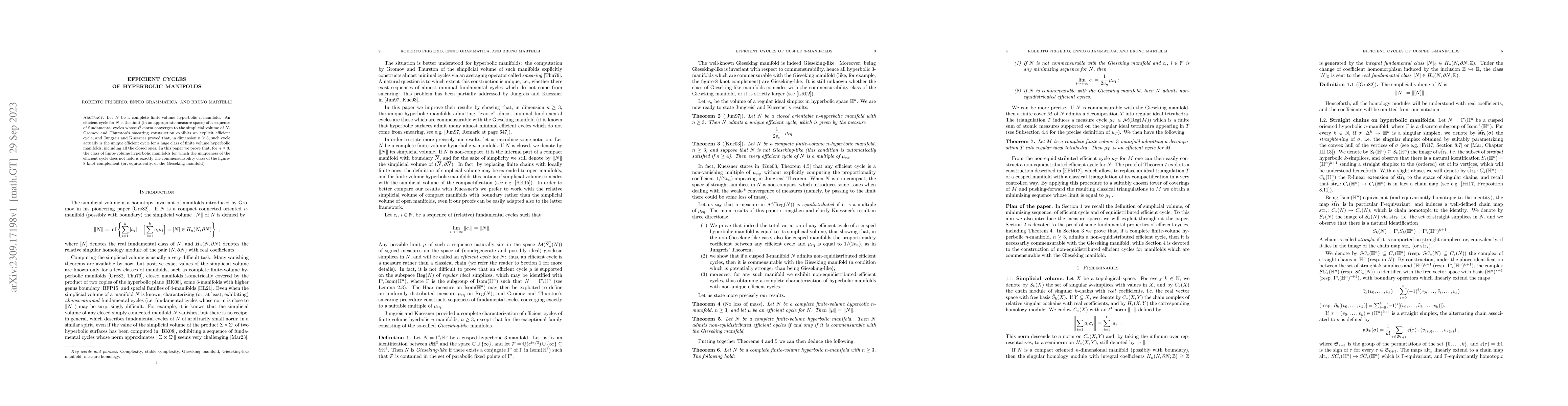 Thumbnail for Efficient cycles of hyperbolic manifolds