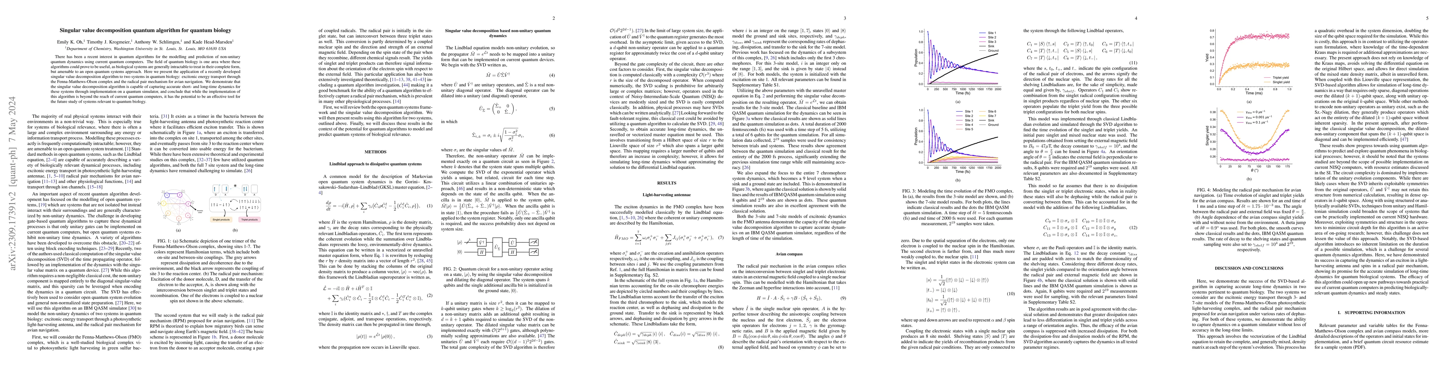 Thumbnail for Singular value decomposition quantum algorithm for quantum biology