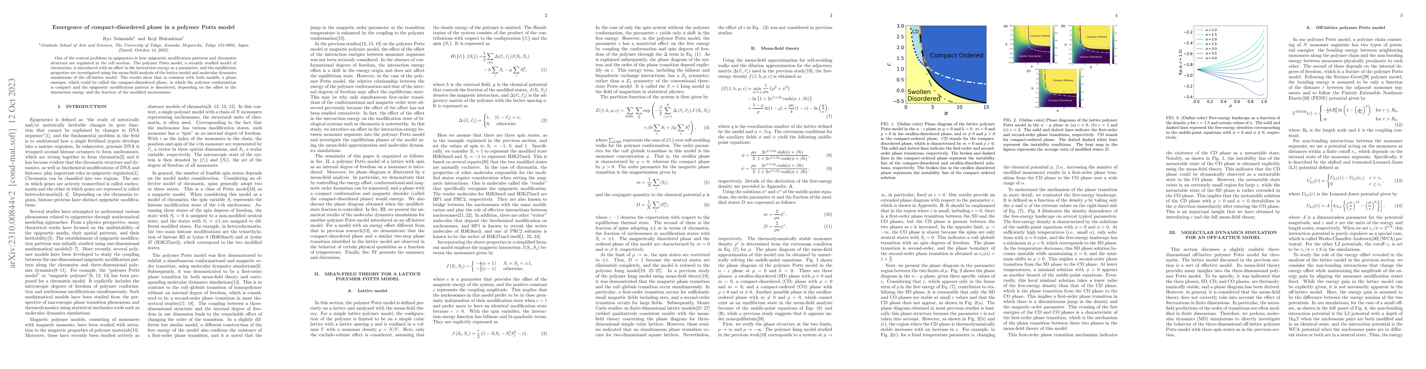 Thumbnail for Emergence of compact-disordered phase in a polymer Potts model