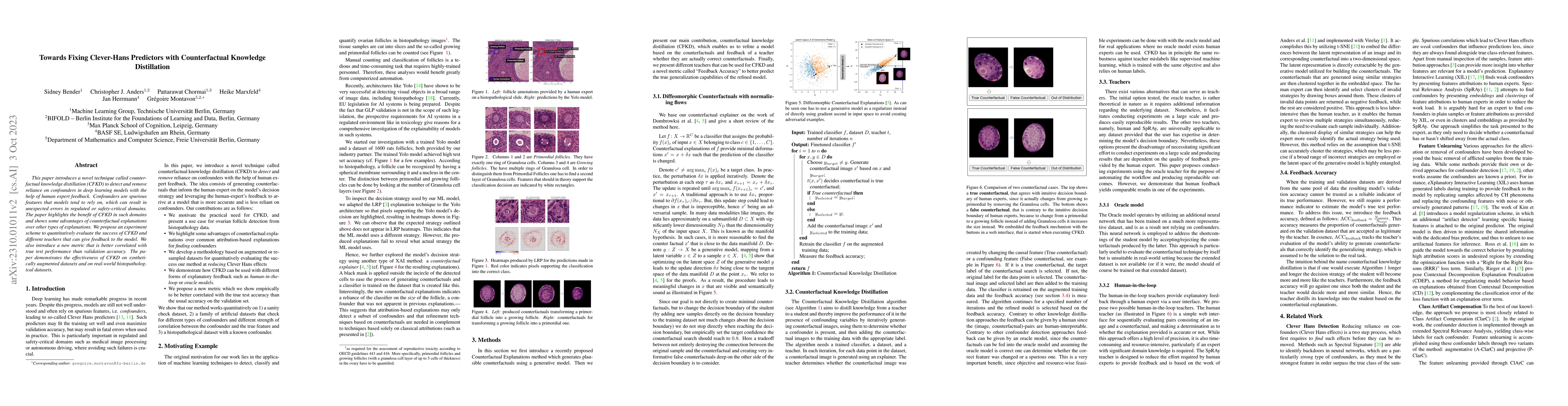 Thumbnail for Towards Fixing Clever-Hans Predictors with Counterfactual Knowledge
  Distillation