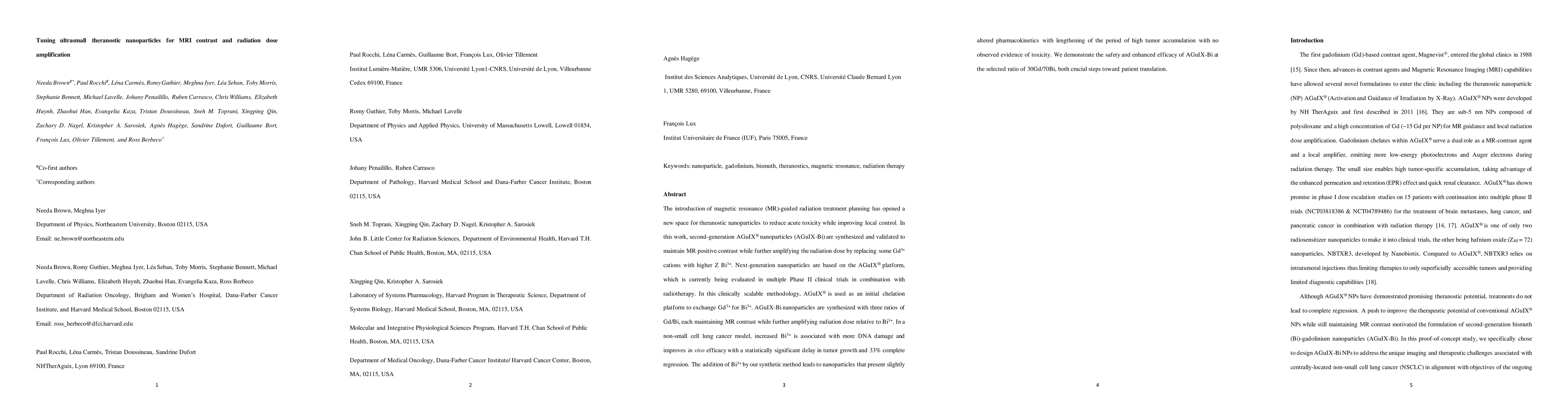 Thumbnail for Tuning ultrasmall theranostic nanoparticles for MRI contrast and
  radiation dose amplification
