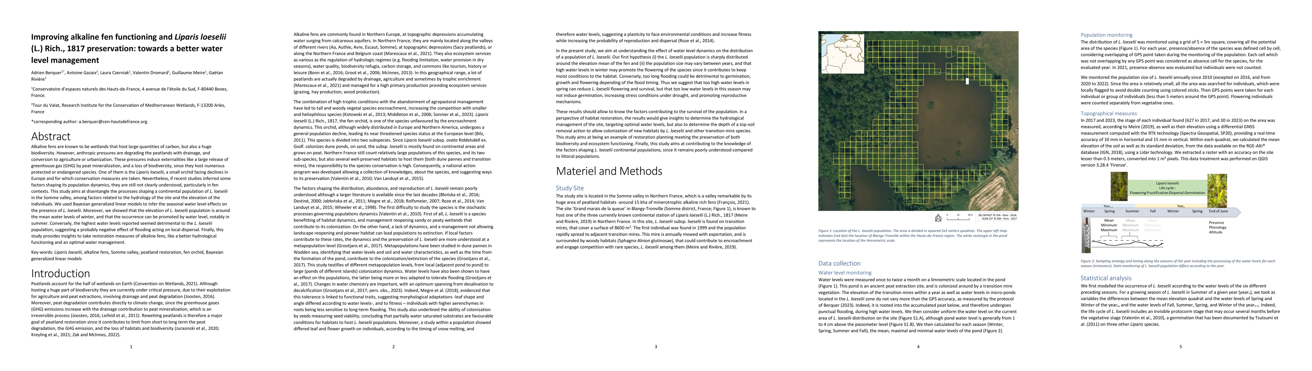 Thumbnail for Improving alkaline fen functioning and Liparis loeselii (L.) Rich., 1817
  preservation: towards a better water level management