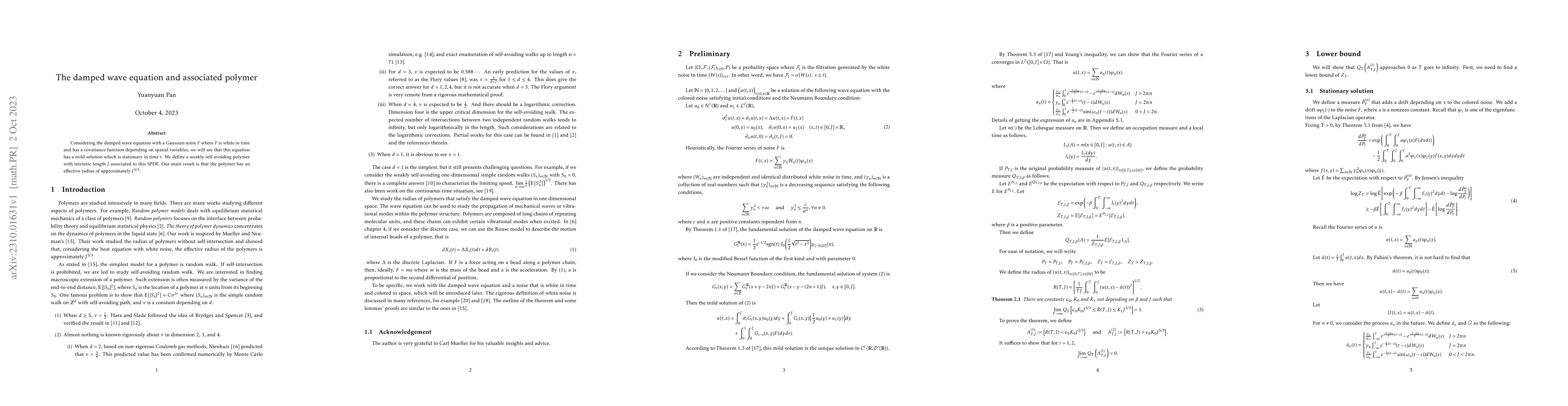 Thumbnail for The damped wave equation and associated polymer