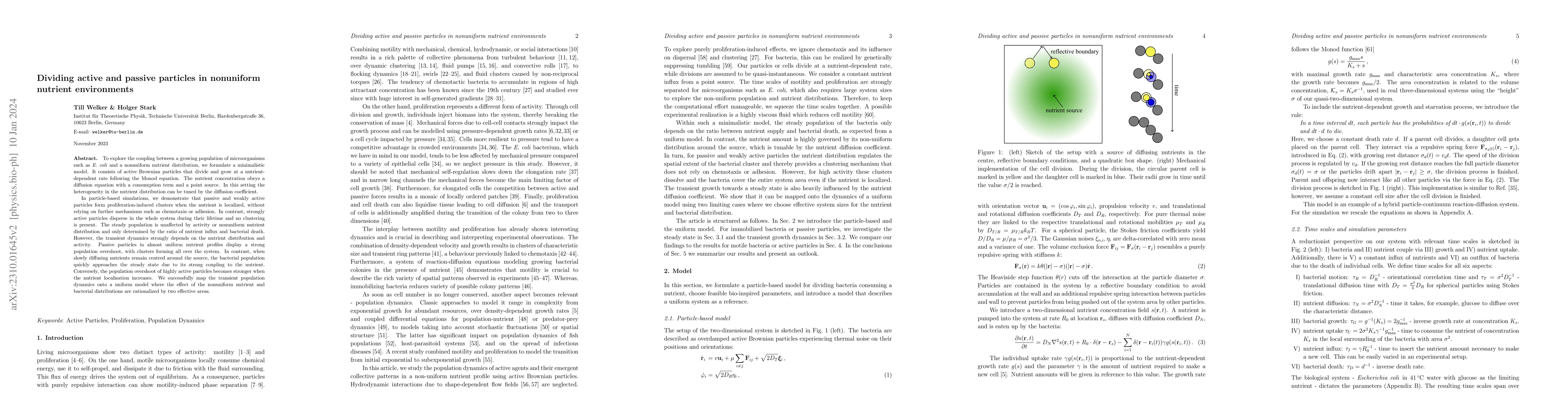 Thumbnail for Dividing active and passive particles in nonuniform nutrient
  environments