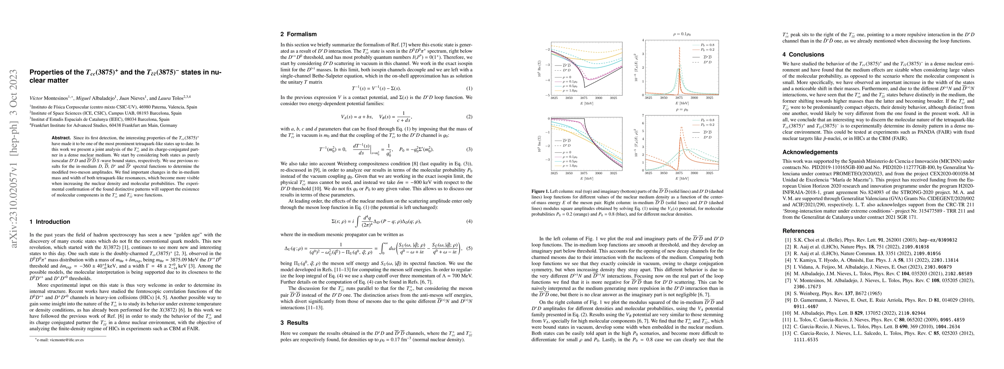 Thumbnail for Properties of the $T_{cc}(3875)^+$ and the $T_{\bar c \bar c}(3875)^-$
  states in nuclear matter