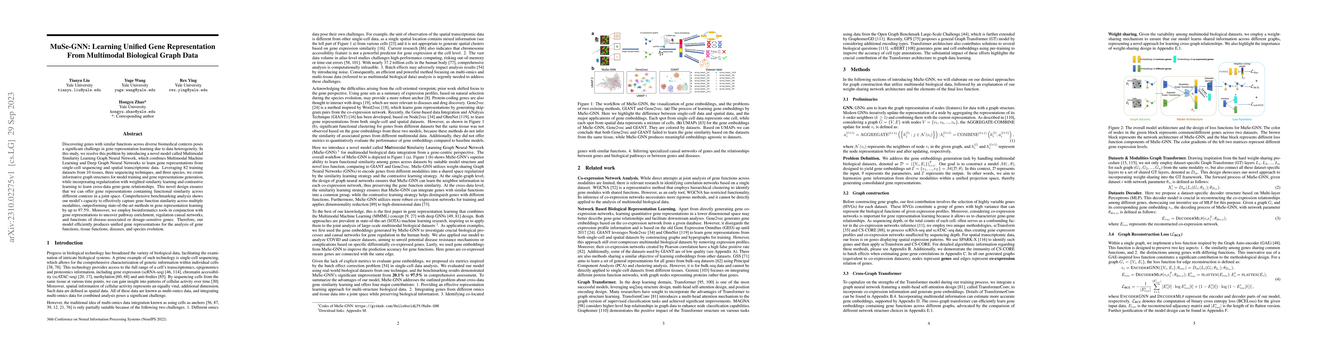 Thumbnail for MuSe-GNN: Learning Unified Gene Representation From Multimodal
  Biological Graph Data