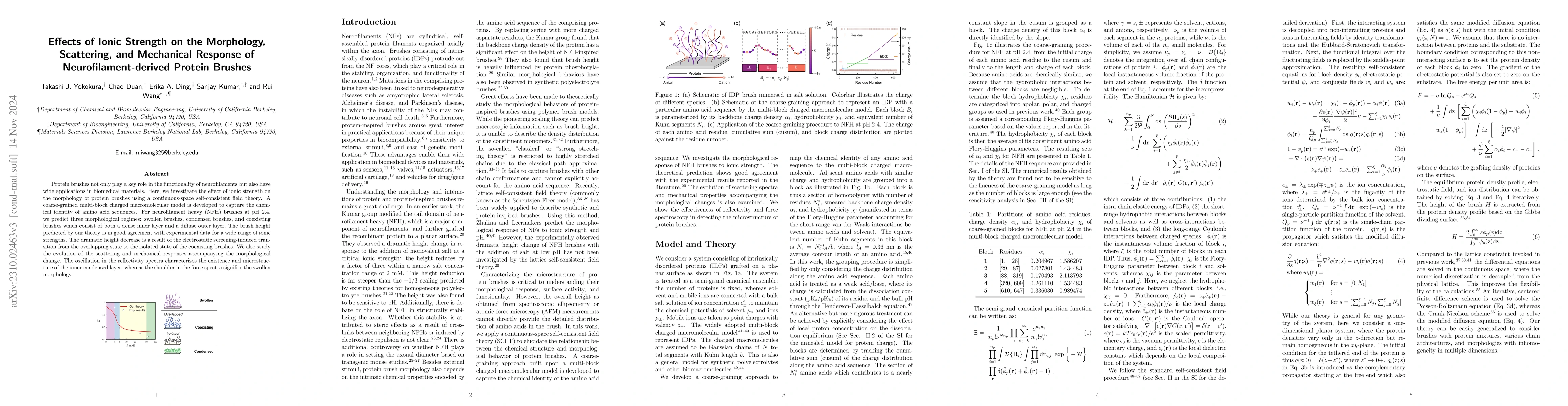 Thumbnail for Effects of Ionic Strength on the Morphology, Scattering, and Mechanical
  Response of Neurofilament-Derived Protein Brushes